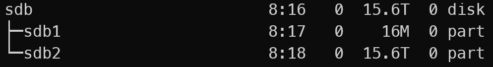 lsblk 的输出